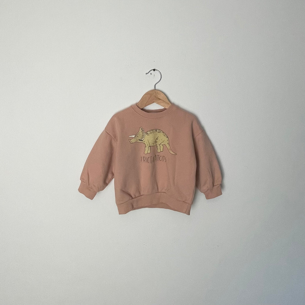 TRICERATOPS CREWNECK